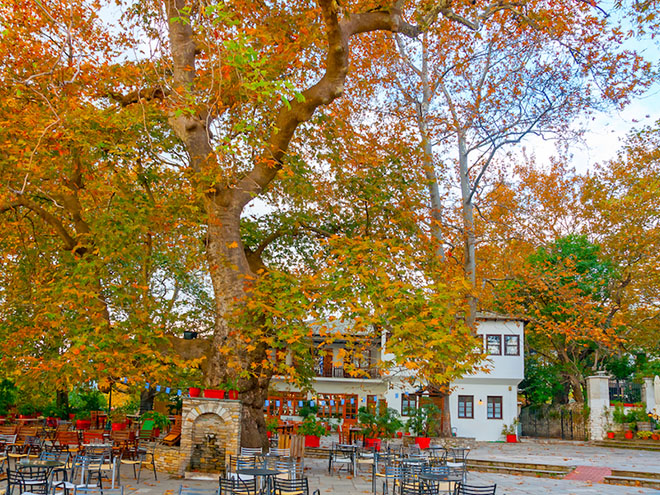 Pelion sightseeing - Traditional villages